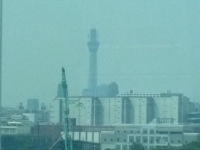 mong10_11j